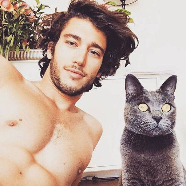 instagram-tios-buenos-gatos (4)