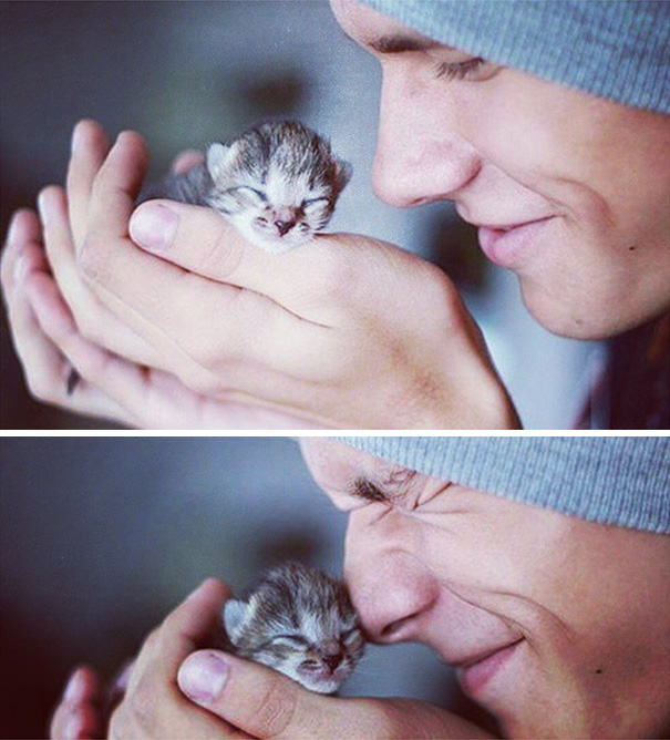 instagram-tios-buenos-gatos (5)