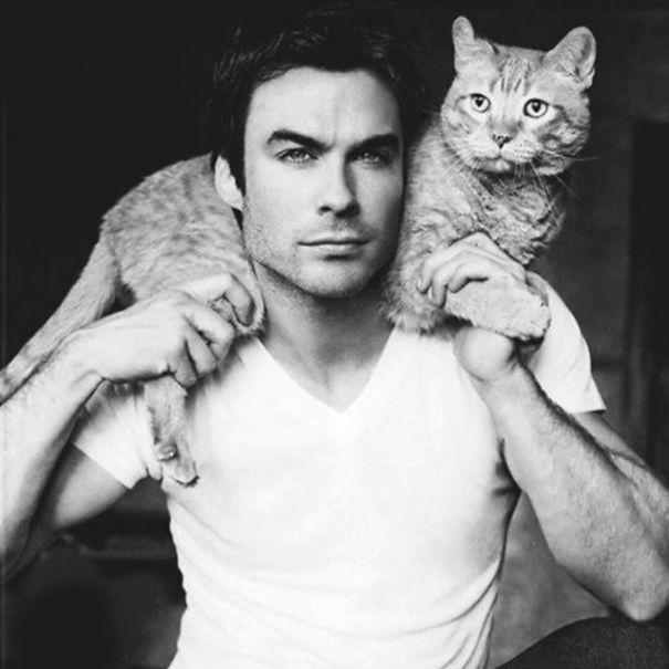 instagram-tios-buenos-gatos (6)