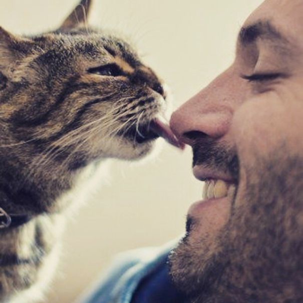 instagram-tios-buenos-gatos (8)