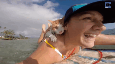 kuli-gato-tuerto-surfero-hawai (1)