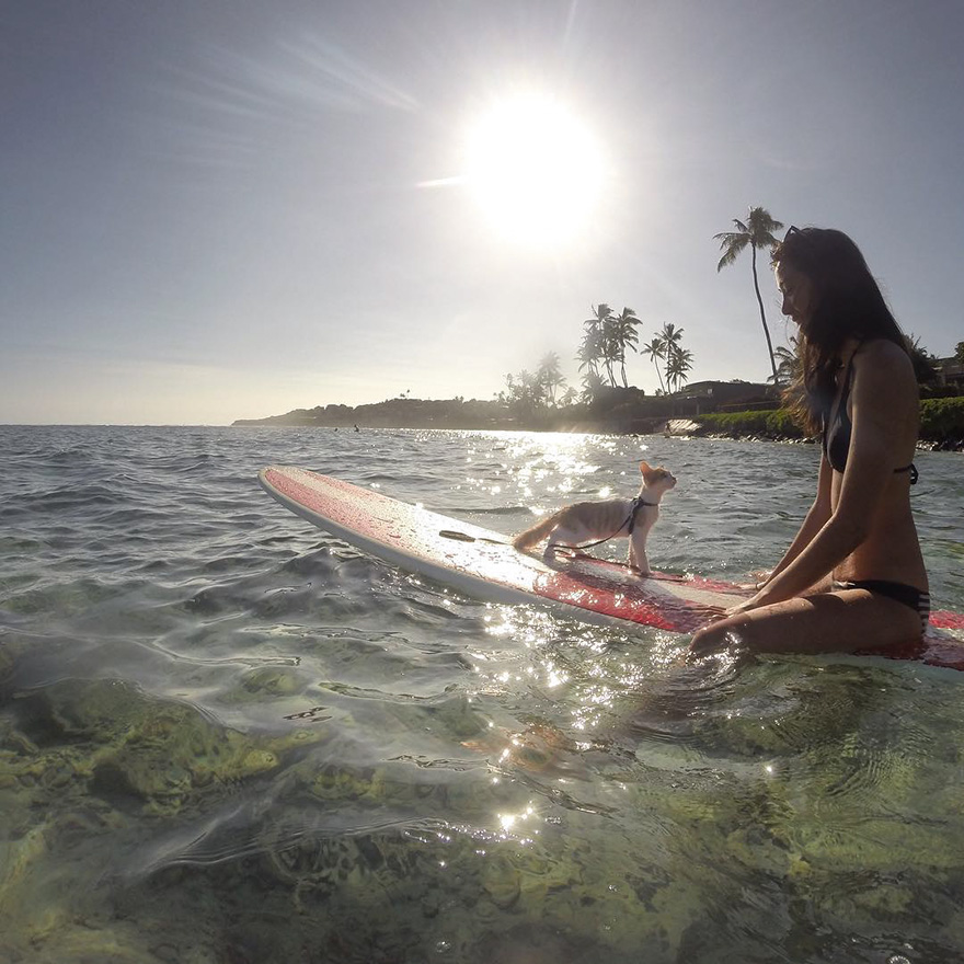 kuli-gato-tuerto-surfero-hawai (7)
