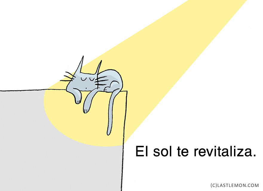 lecciones-vitales-gatos-lastlemon-11