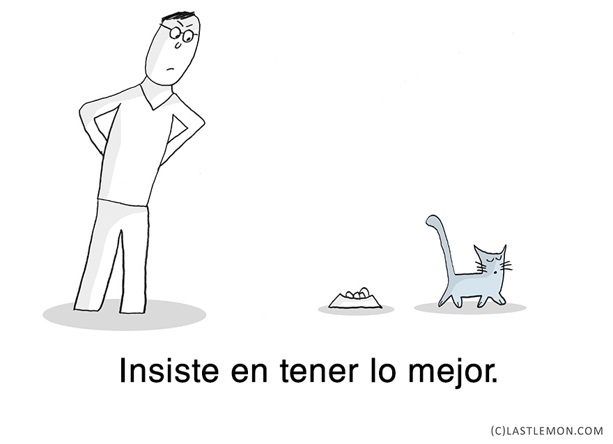 lecciones-vitales-gatos-lastlemon-12