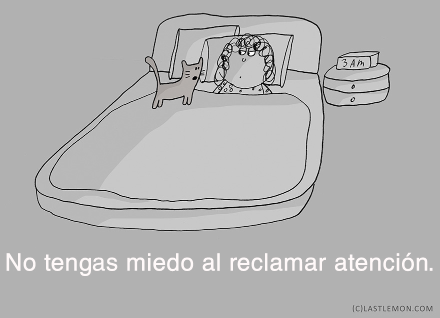lecciones-vitales-gatos-lastlemon-13