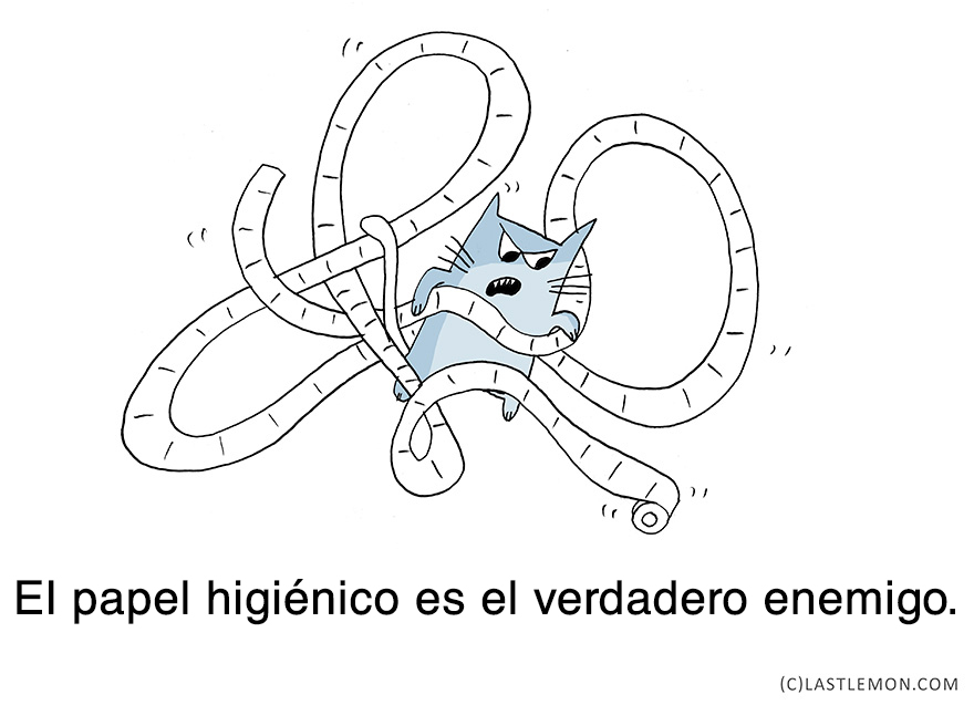 lecciones-vitales-gatos-lastlemon-15