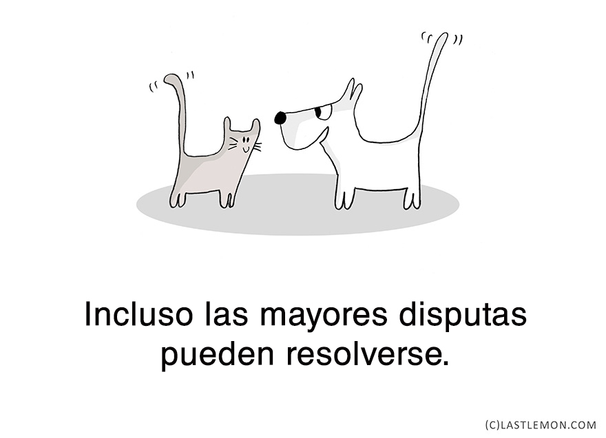 lecciones-vitales-gatos-lastlemon-16