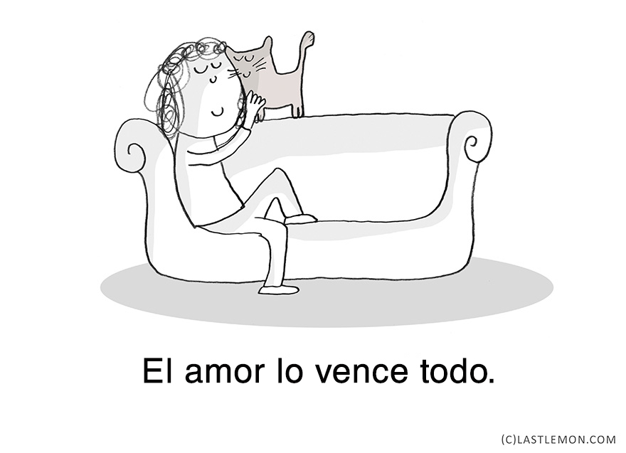 lecciones-vitales-gatos-lastlemon-17
