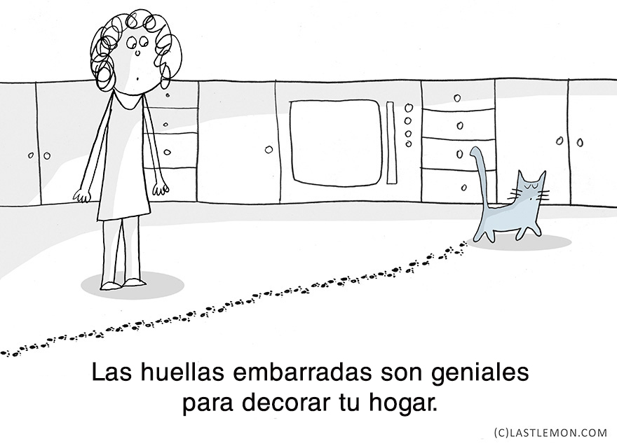 lecciones-vitales-gatos-lastlemon-5