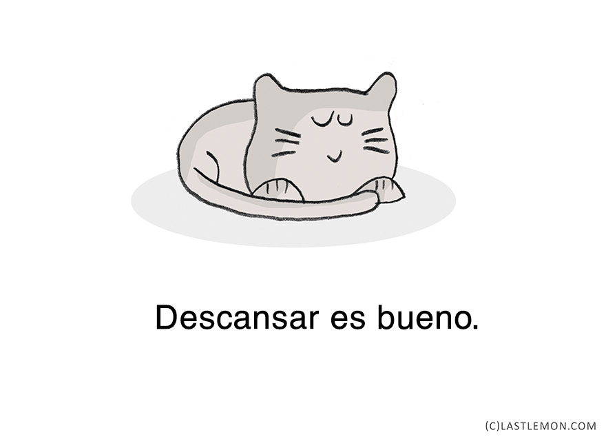 lecciones-vitales-gatos-lastlemon-7