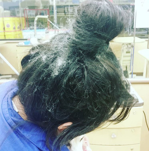 mascotas-soltando-pelo (52)