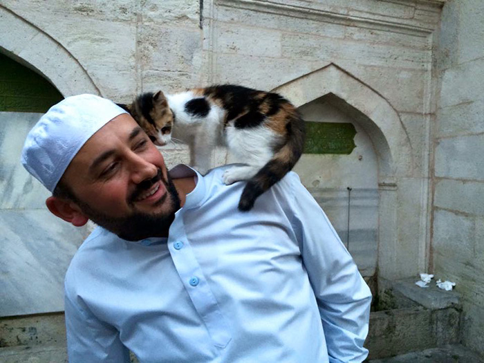 mezquita-gatos-callejeros-mustafa-efe-estambul (4)