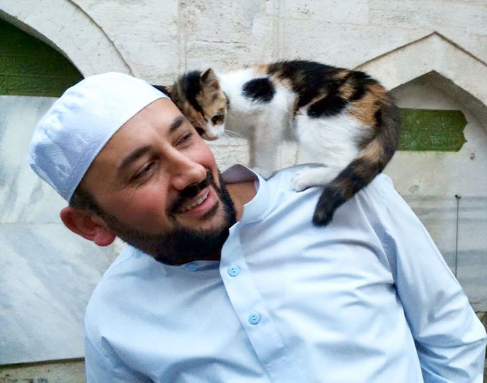 Este imán abre las puertas de su mezquita a los gatos callejeros para que tengan calor