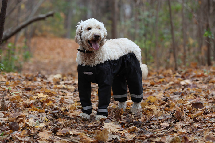 pantalones-perros-muddy-mutt-apparel (4)
