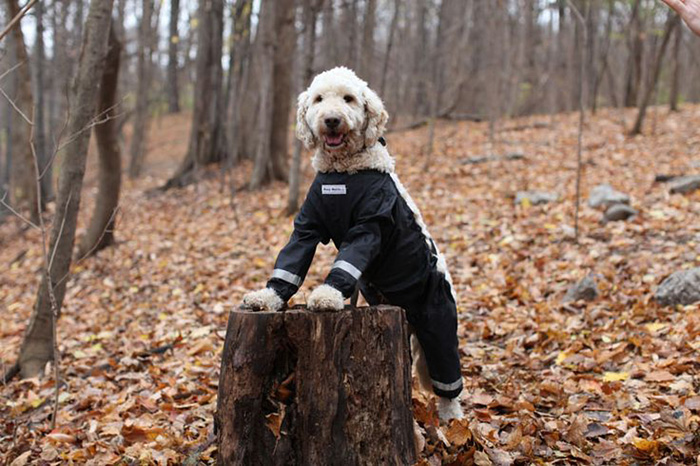 pantalones-perros-muddy-mutt-apparel (5)