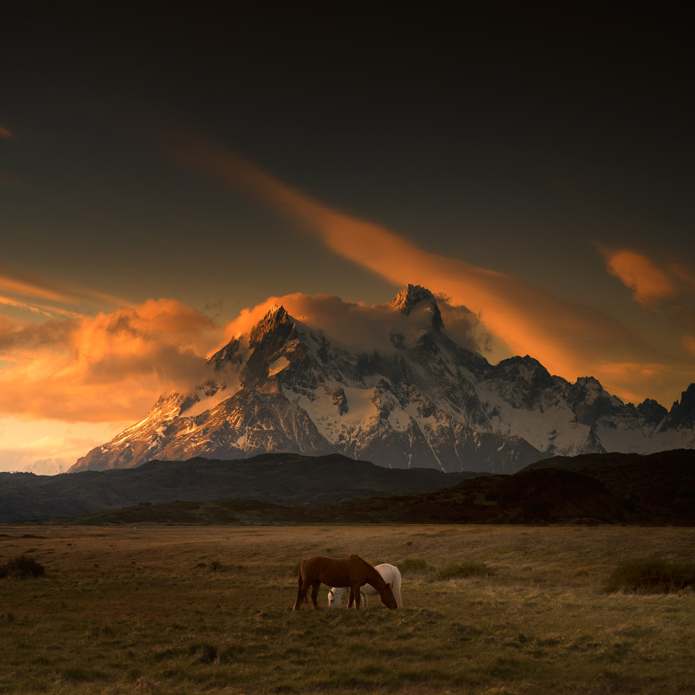 patagonia1