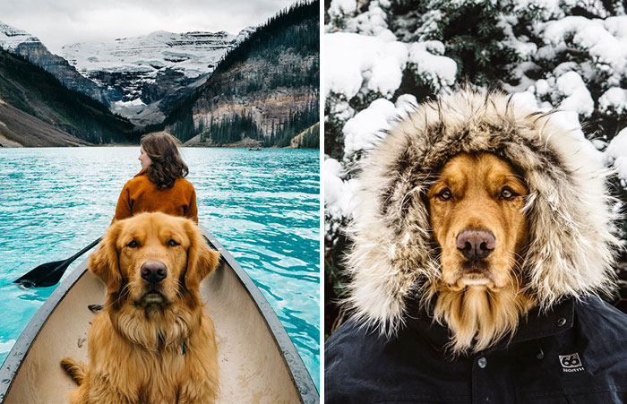 Este humano se lleva a su perro de aventuras y demuestra que es el mejor compañero de viaje