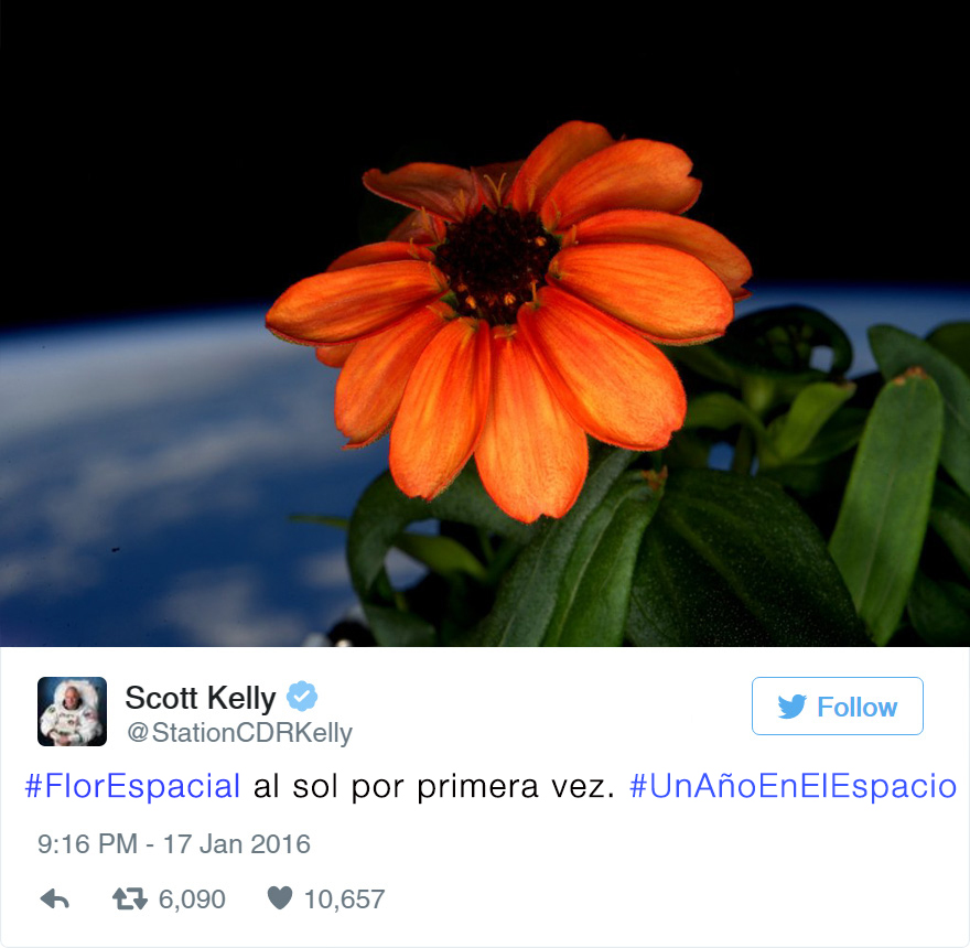 primera-flor-espacio-nasa-scott-kelly-3