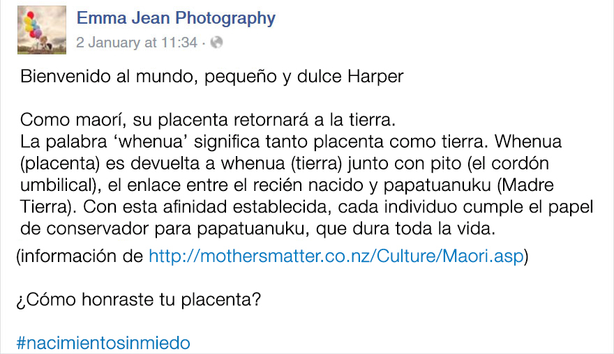 recien-nacido-maori-placenta-whenua-emma-jean-nolan (4)