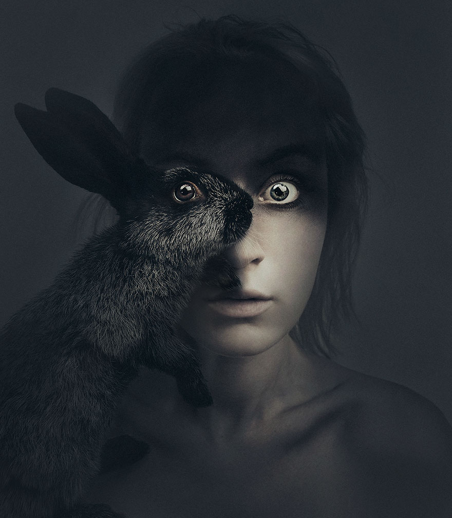 retratos-ojos-animales-animeyed-flora-borsi (3)