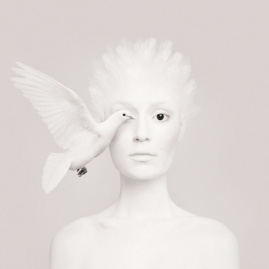 retratos-ojos-animales-animeyed-flora-borsi (4)
