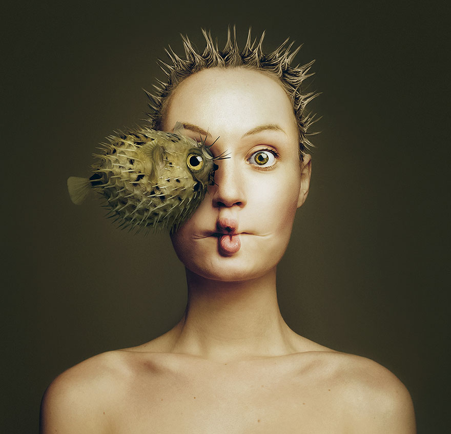 retratos-ojos-animales-animeyed-flora-borsi (5)