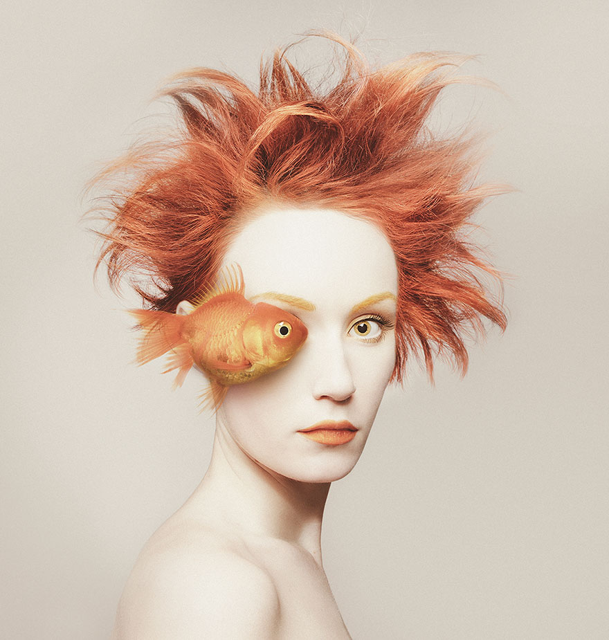 retratos-ojos-animales-animeyed-flora-borsi (6)