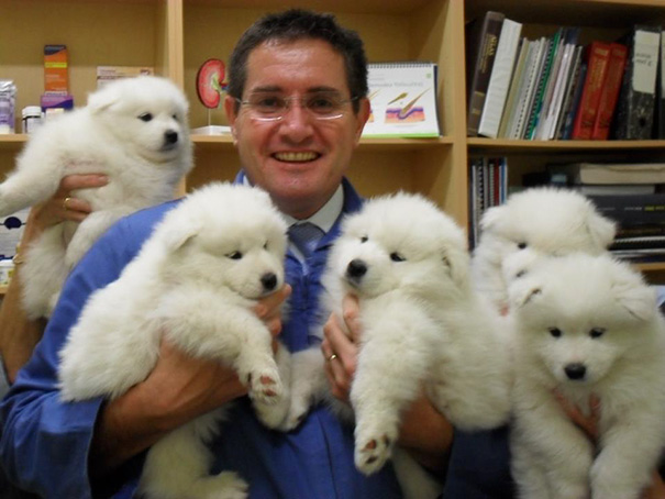 ventajas-trabajar-animales-veterinaria (1)