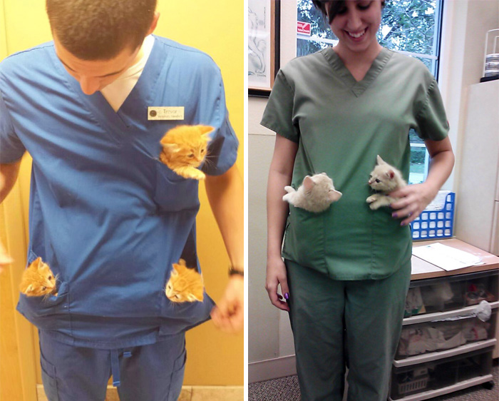 15 Beneficios de trabajar en un hospital de animales