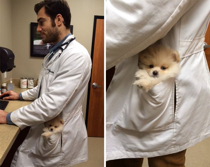 veterinario-sexy-doctor-evan-antin (14)