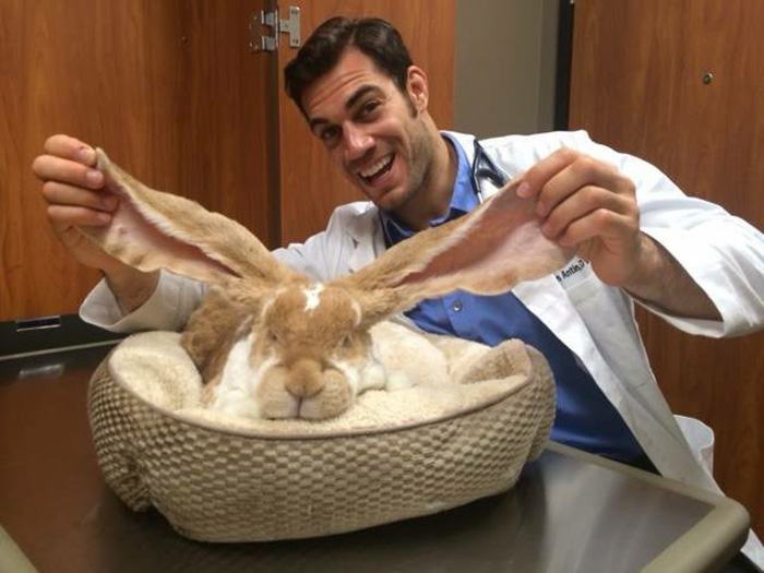 veterinario-sexy-doctor-evan-antin (15)