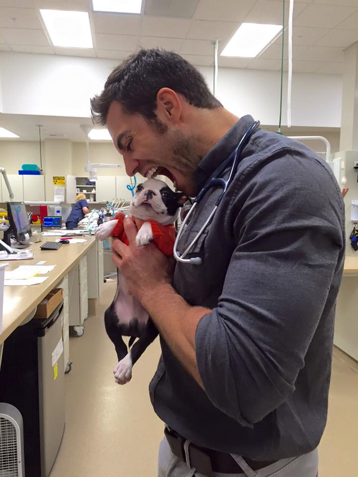 veterinario-sexy-doctor-evan-antin (2)