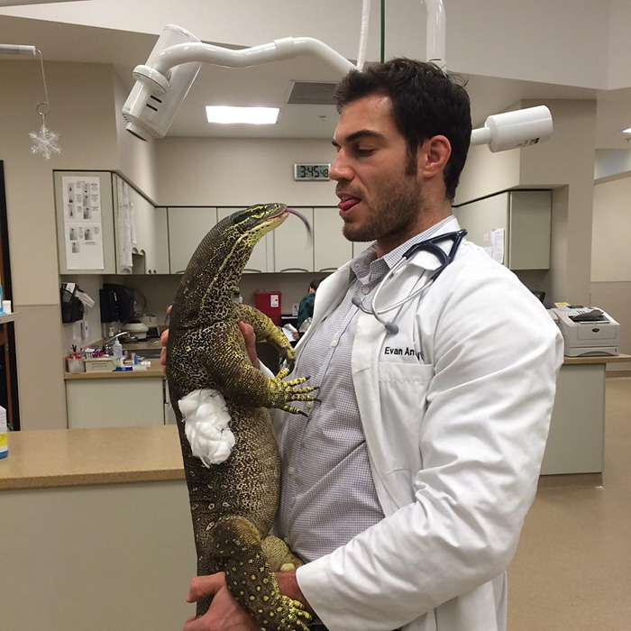 veterinario-sexy-doctor-evan-antin (6)