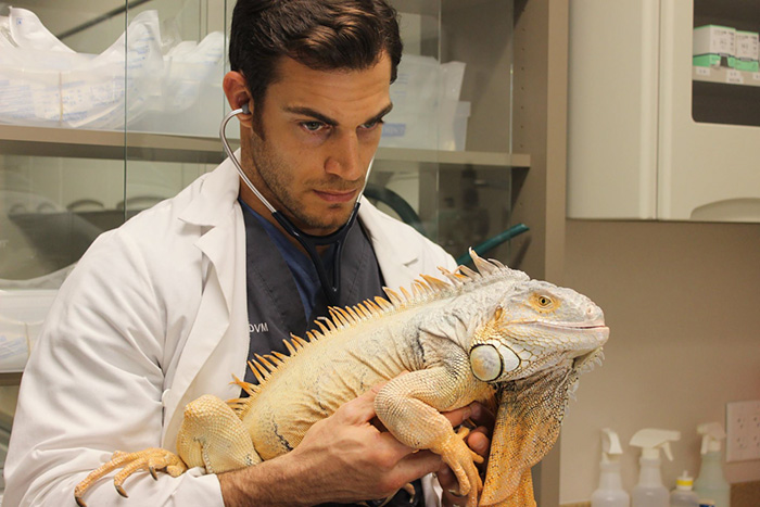 veterinario-sexy-doctor-evan-antin (9)