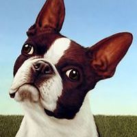 canis-sapiens avatar