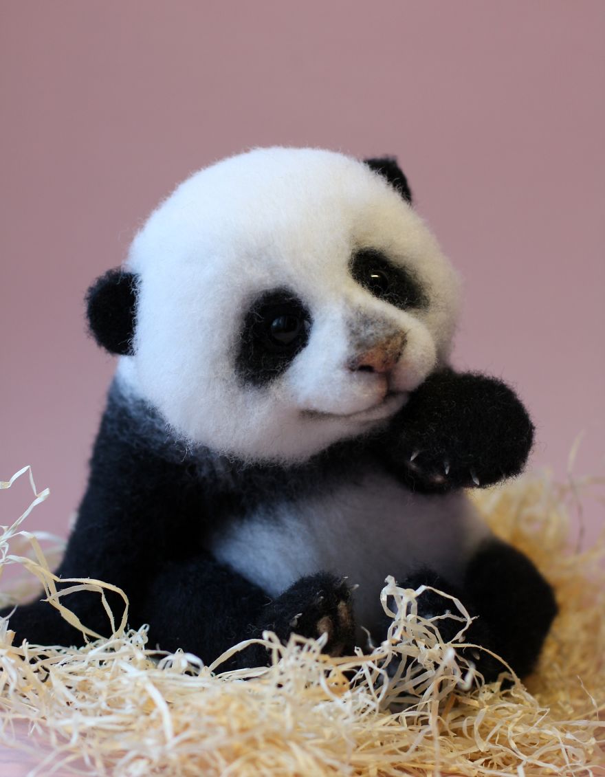 animales-adorables-lana-tatyana (11)