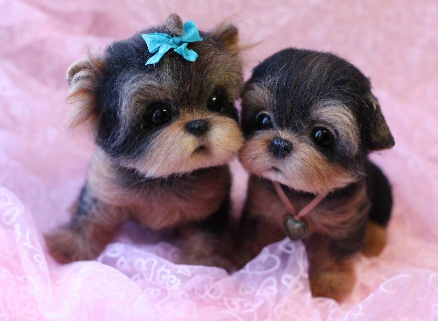 animales-adorables-lana-tatyana (13)