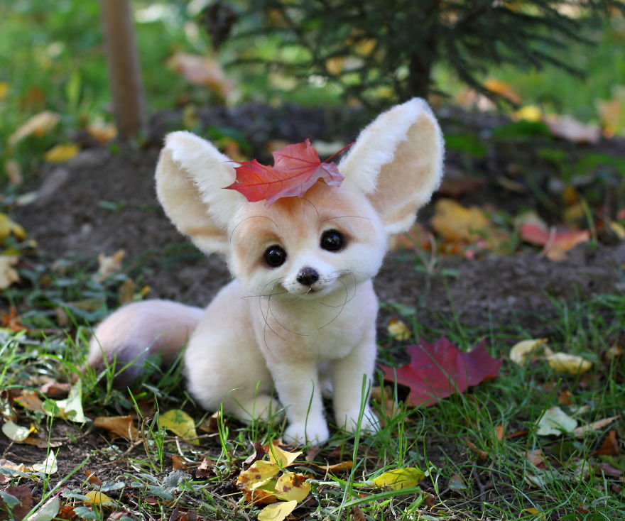 animales-adorables-lana-tatyana (7)