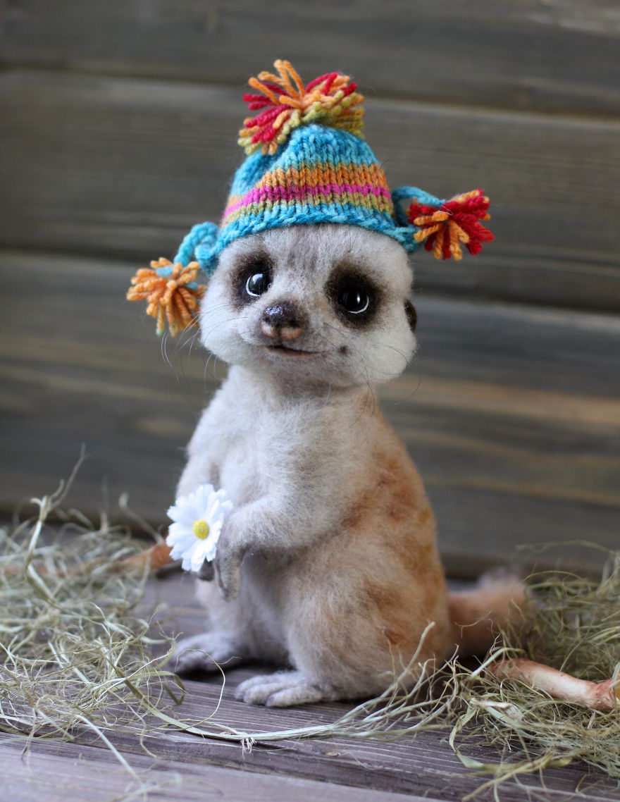 animales-adorables-lana-tatyana (8)