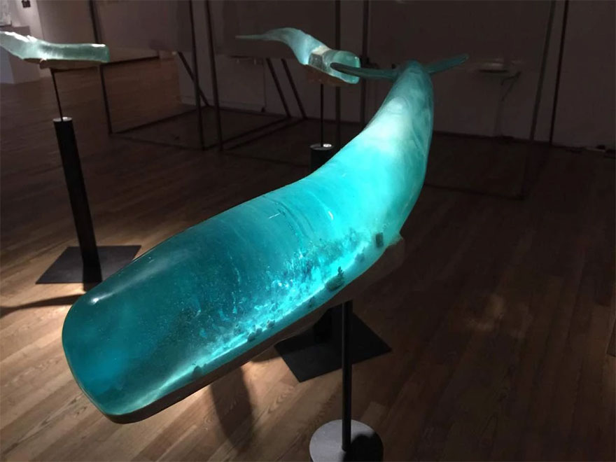 ballenas-resina-translucida-samsara-isana-yamada (1)