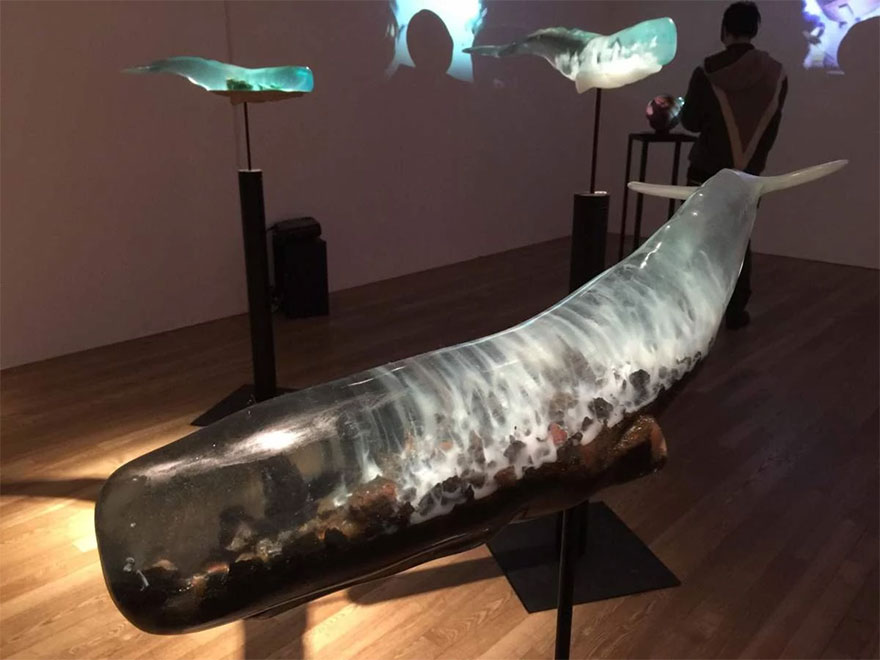 ballenas-resina-translucida-samsara-isana-yamada (3)