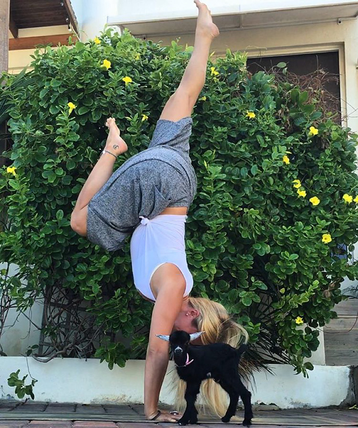 cabra-penny-yoga-rachel-brathen (6)