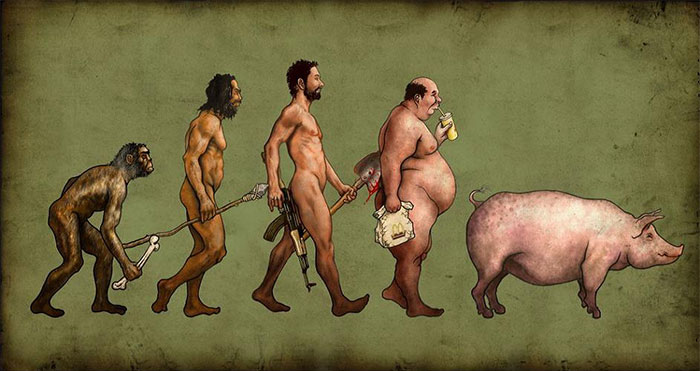 evolucion-dia-darwin (14)