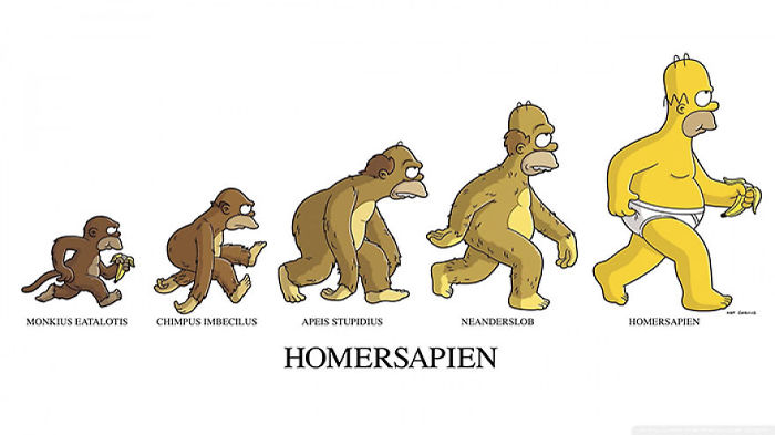 evolucion-dia-darwin (6)