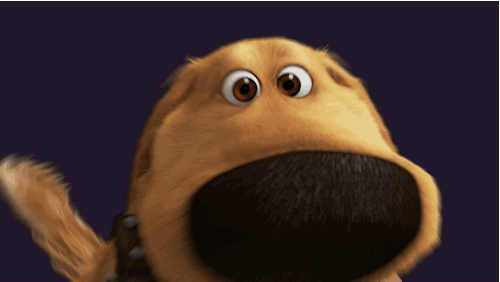 filtro-snapchat-perro-dug-pelicula-up (1)