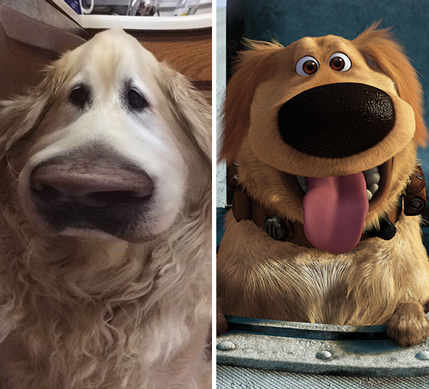 filtro-snapchat-perro-dug-pelicula-up (1)