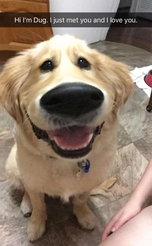 filtro-snapchat-perro-dug-pelicula-up (7)