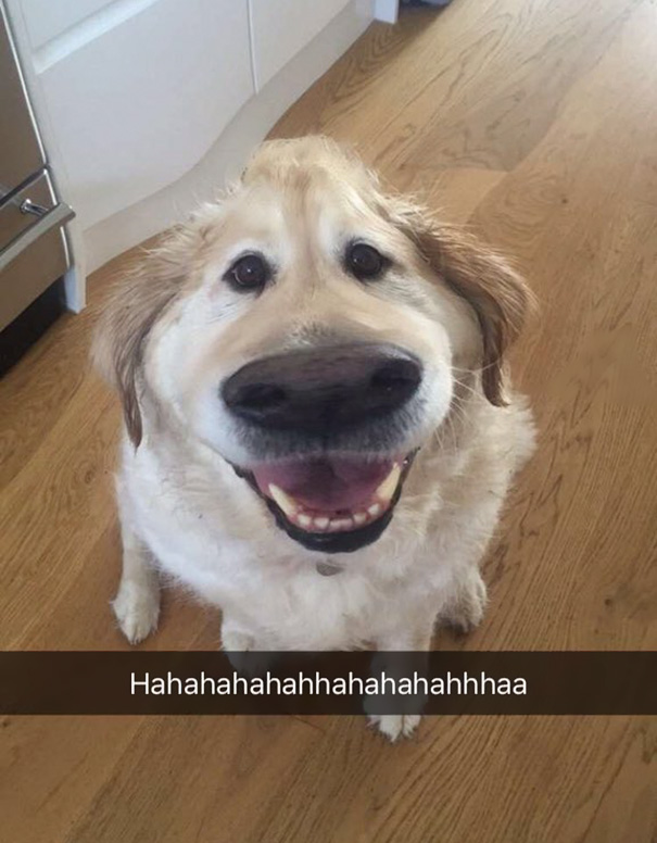 filtro-snapchat-perro-dug-pelicula-up (8)