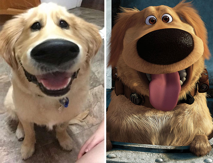 Este filtro de Snapchat hace que tu perro se parezca a Dug de la película «Up»