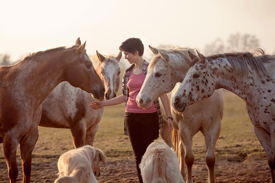 fotografia-equina-wiebke-haas (14)